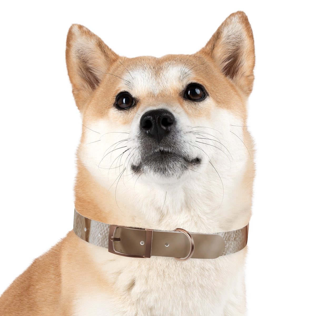 Dog Collar - Earth Toned Pet Style