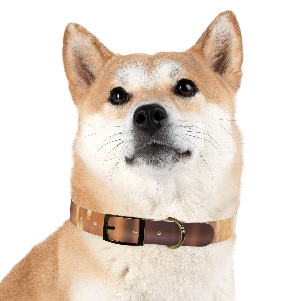 Dog Collar - Shattered Light Aesthetic