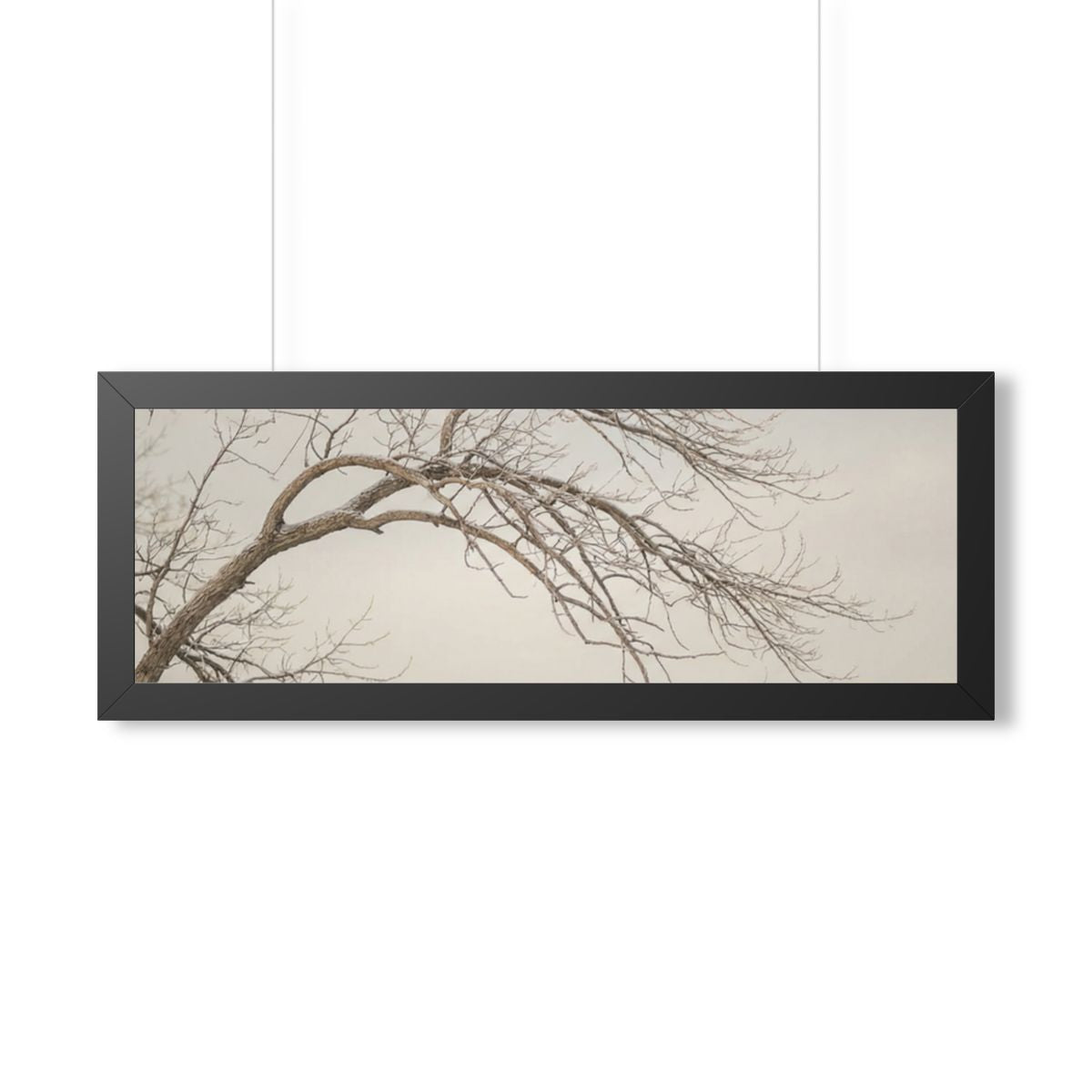Framed Horizontal Poster - Winter Branch Solitude Landscape...