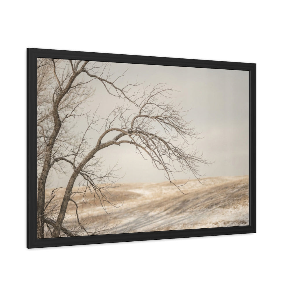 Framed Poster - Minimalist Winter Tree — Landscape