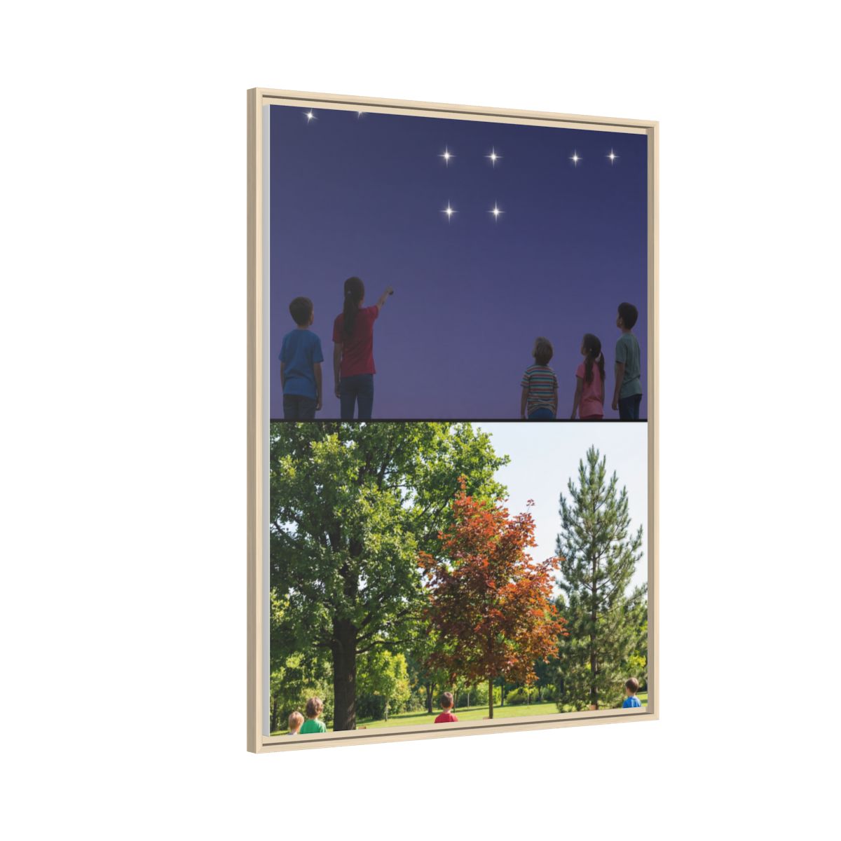 Framed Matte Canvas - Discovery — Natural / 1.25"