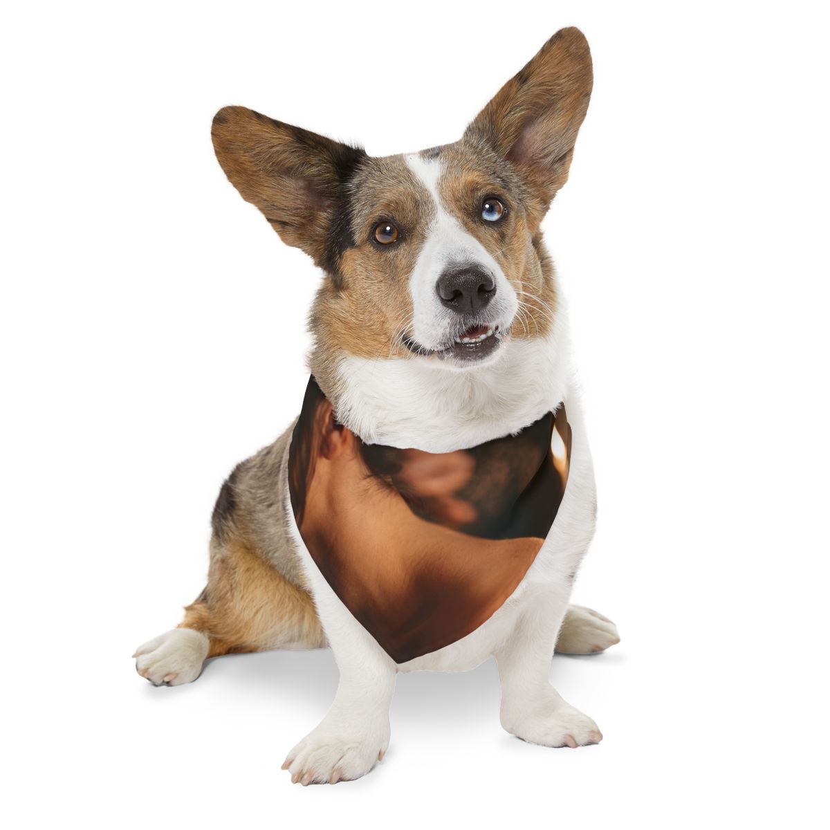 Pet Bandana Collar - Candlelit Solitude Atmospheric Art |...