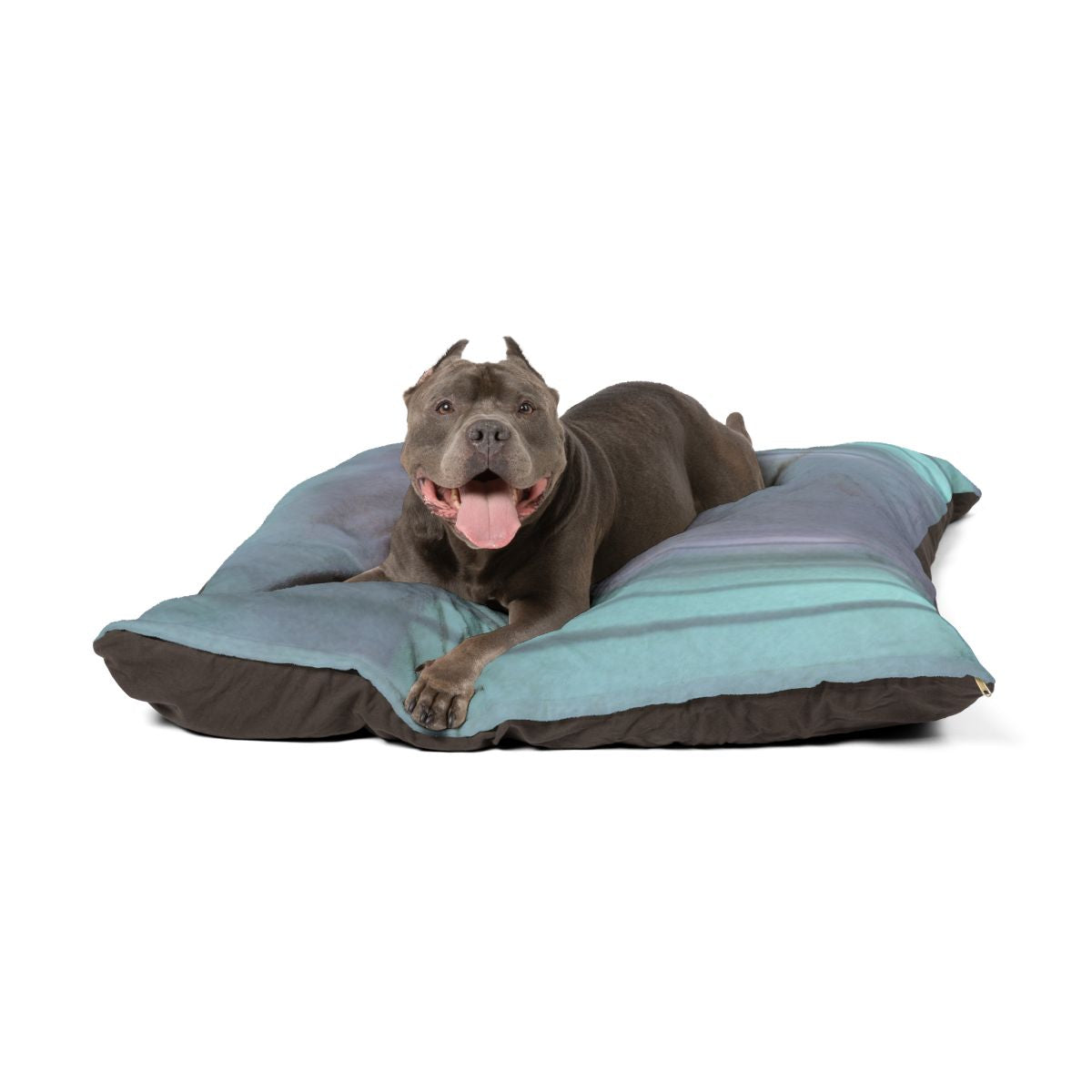 Pet Bed - Liminal Corridor Fog Art Print | Echovira Gallery