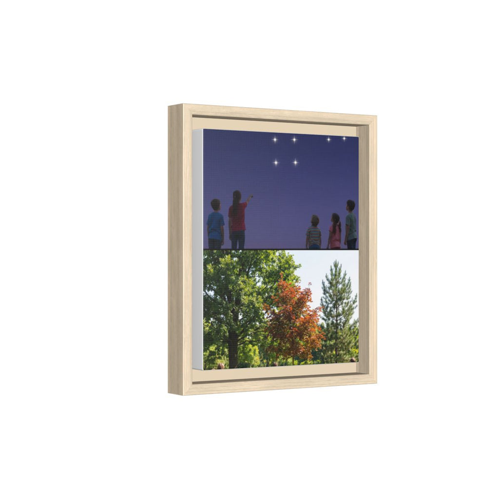 Framed Matte Canvas - Discovery — Natural / 1.25"