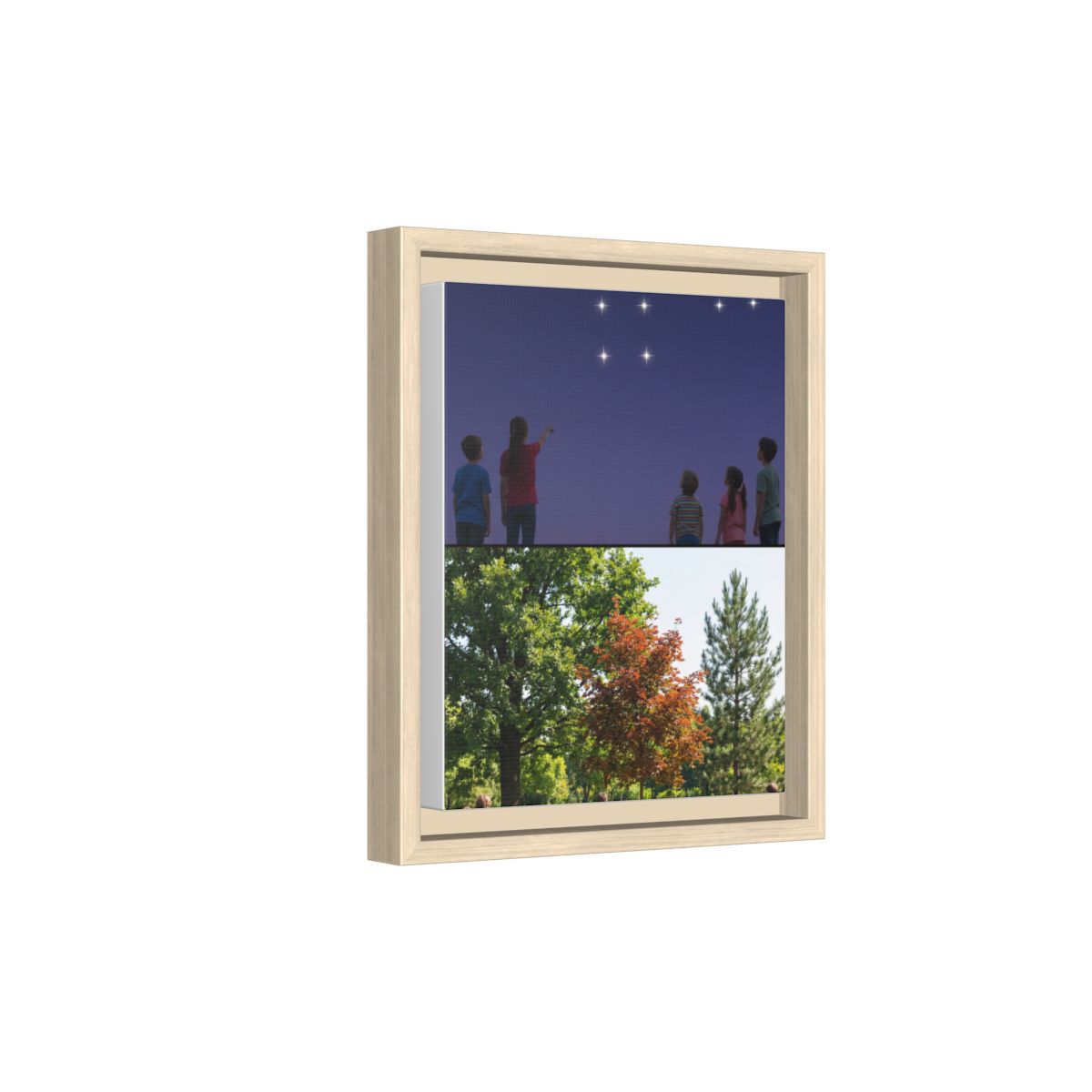 Framed Matte Canvas - Discovery — Natural / 1.25"