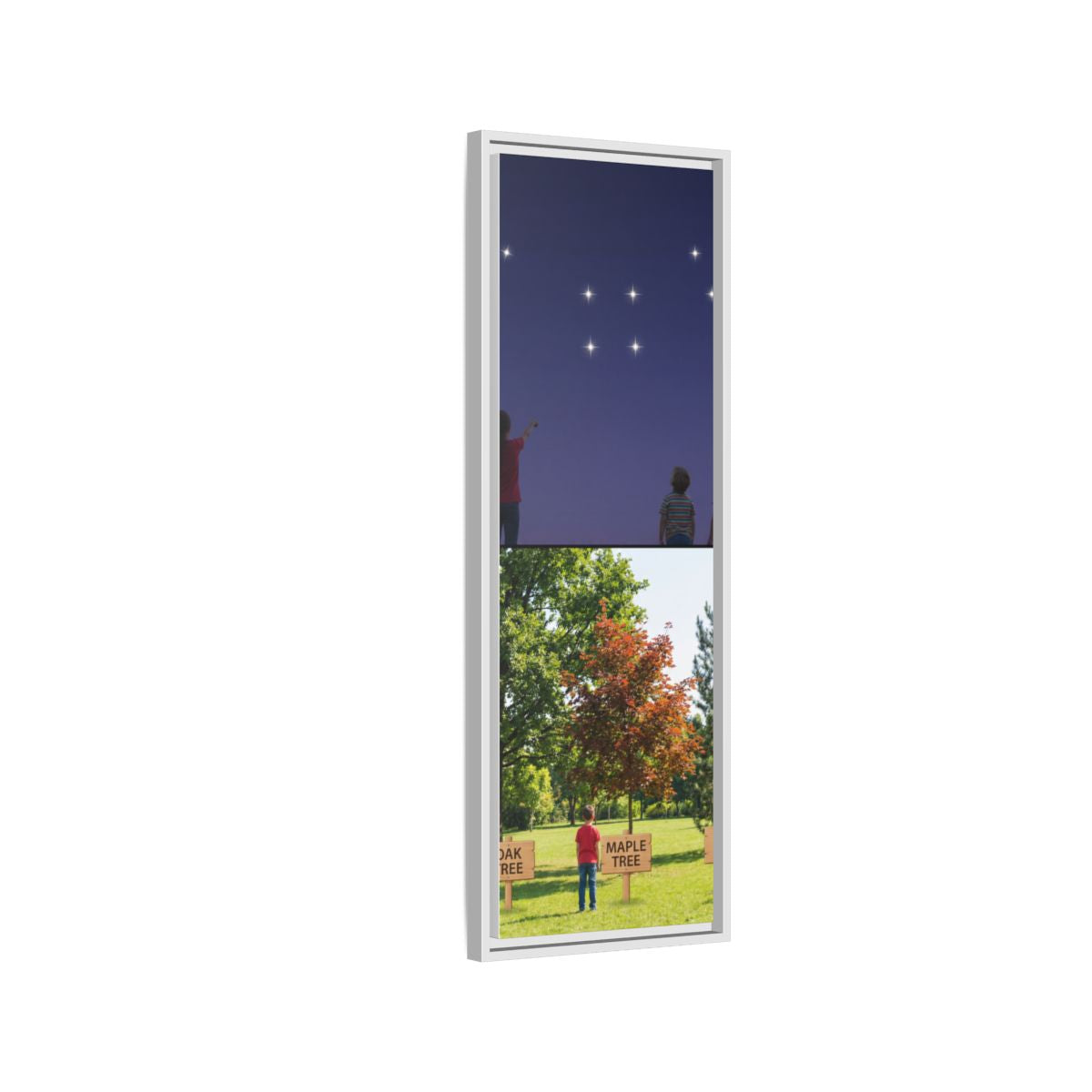 Framed Matte Canvas - Discovery — White / 1.25"