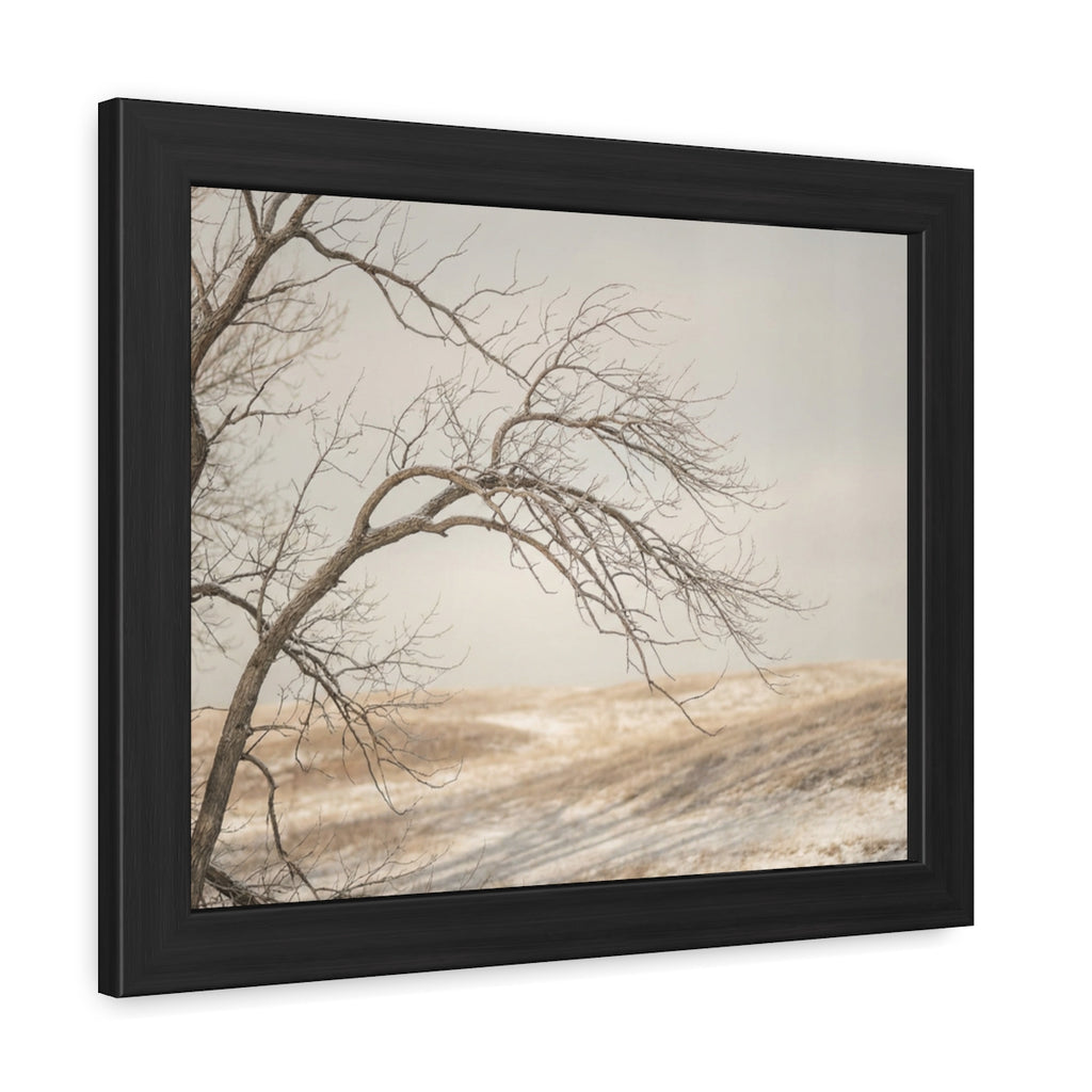 Framed Poster - Minimalist Winter Tree — Landscape