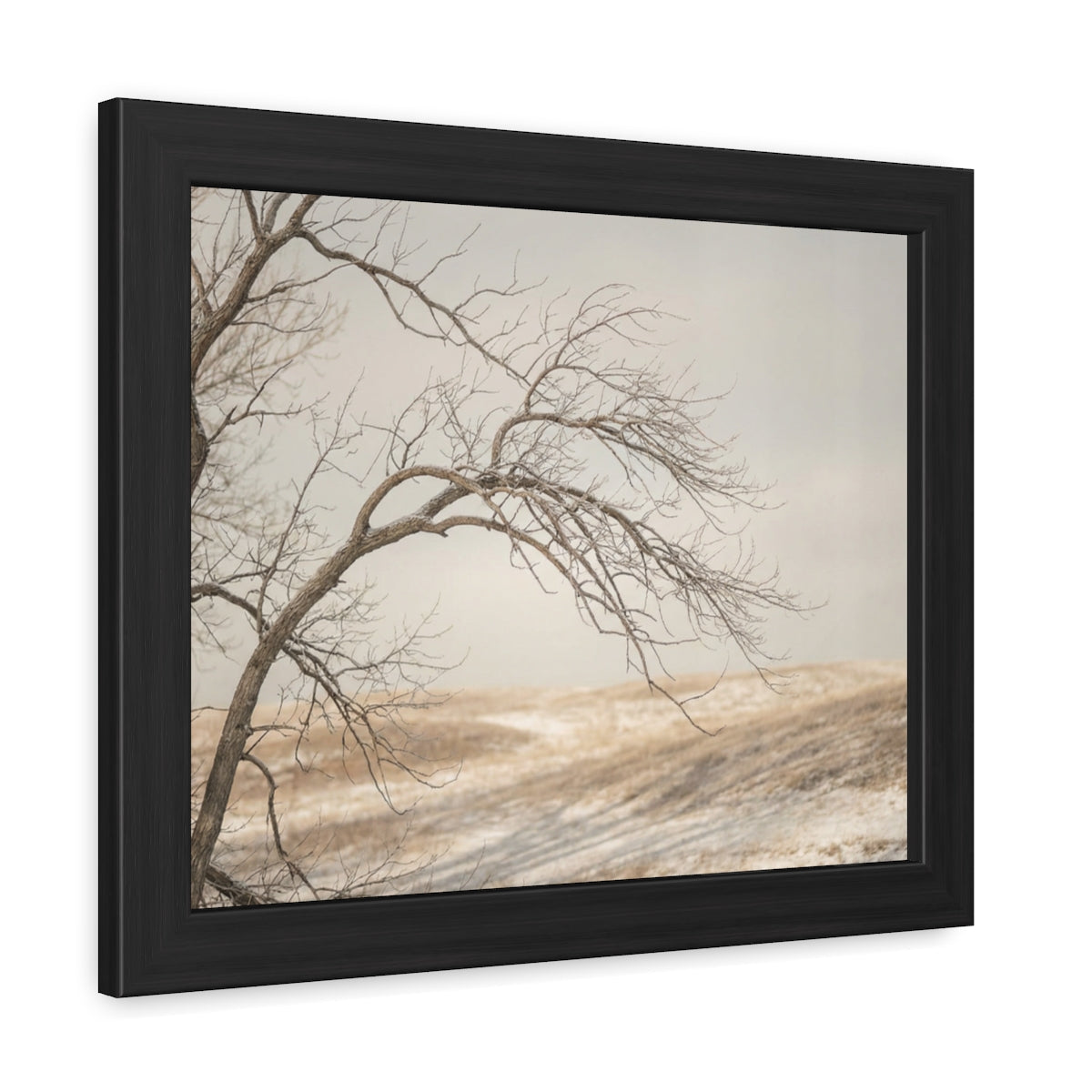 Framed Poster - Minimalist Winter Tree — Landscape
