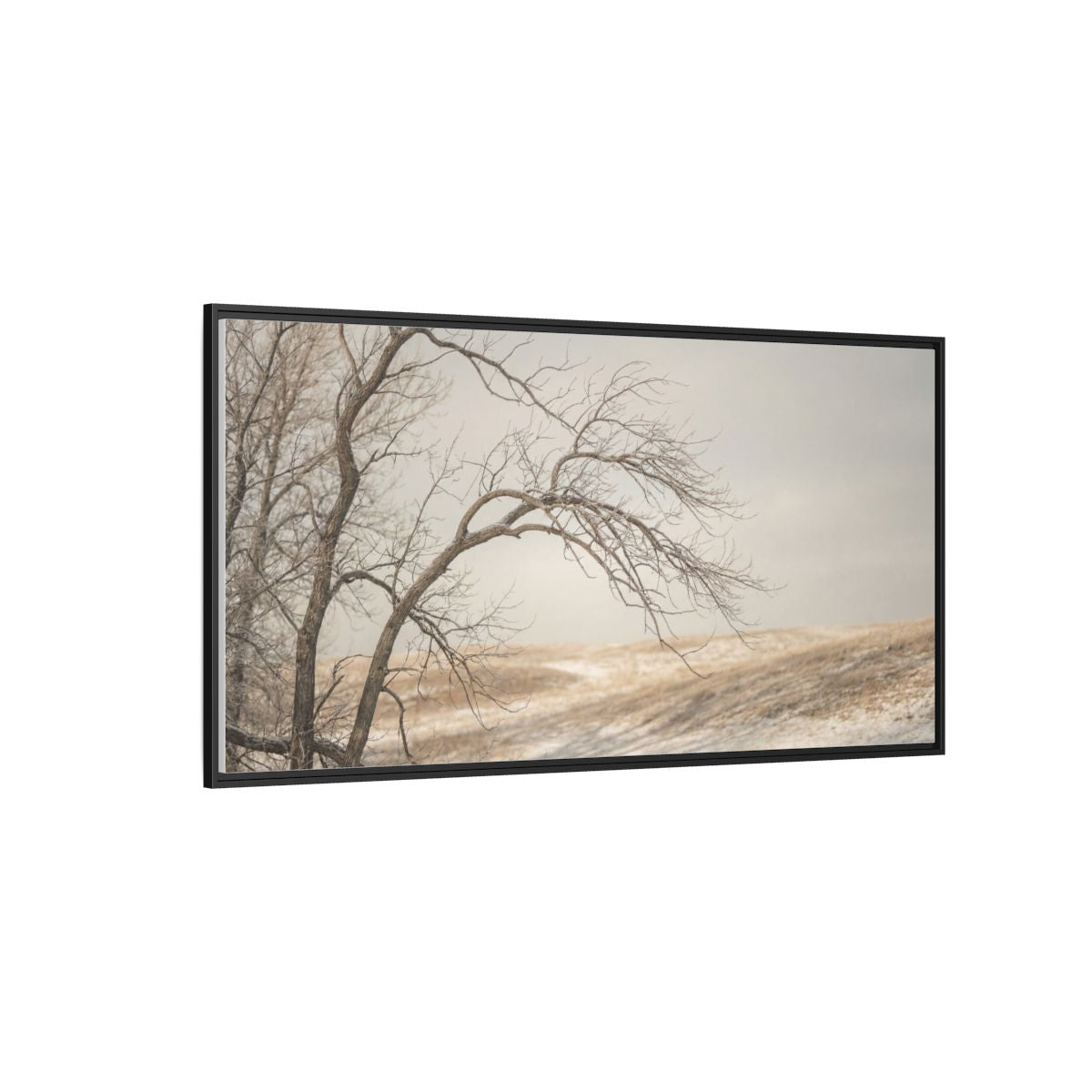 Framed Canvas Art - Minimalist Winter — Black / 1.25"