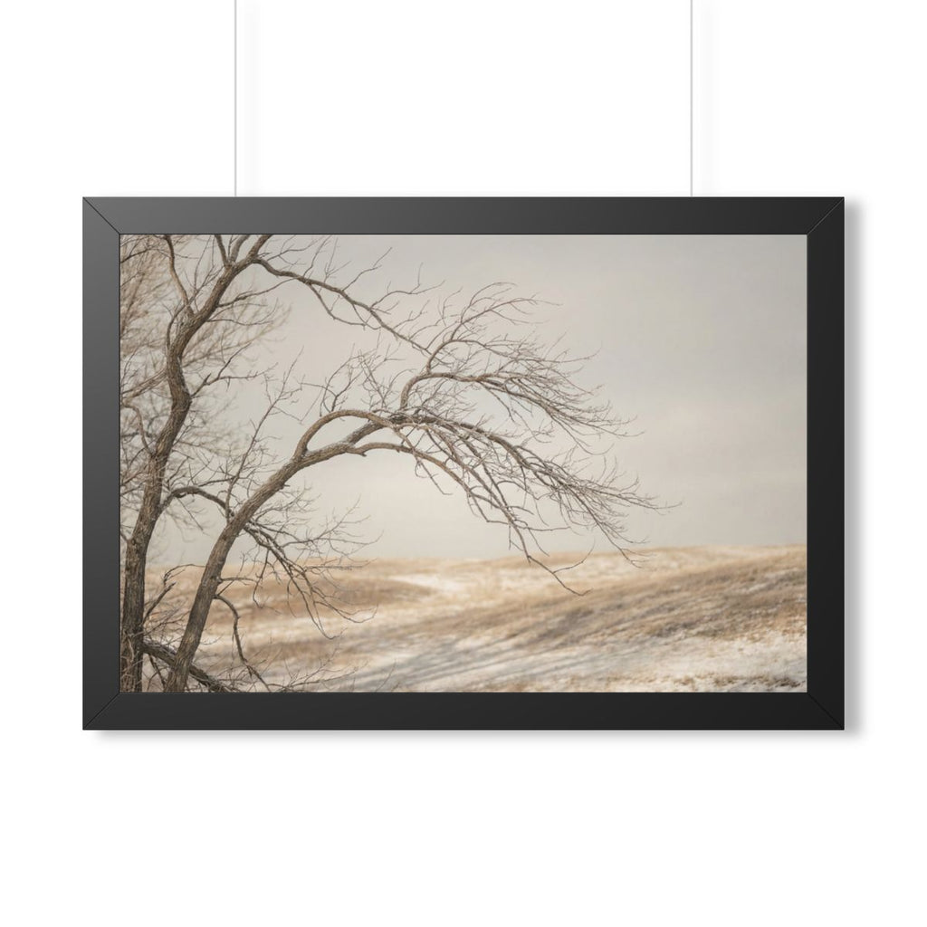 Framed Horizontal Poster - Winter Branch Solitude Landscape...
