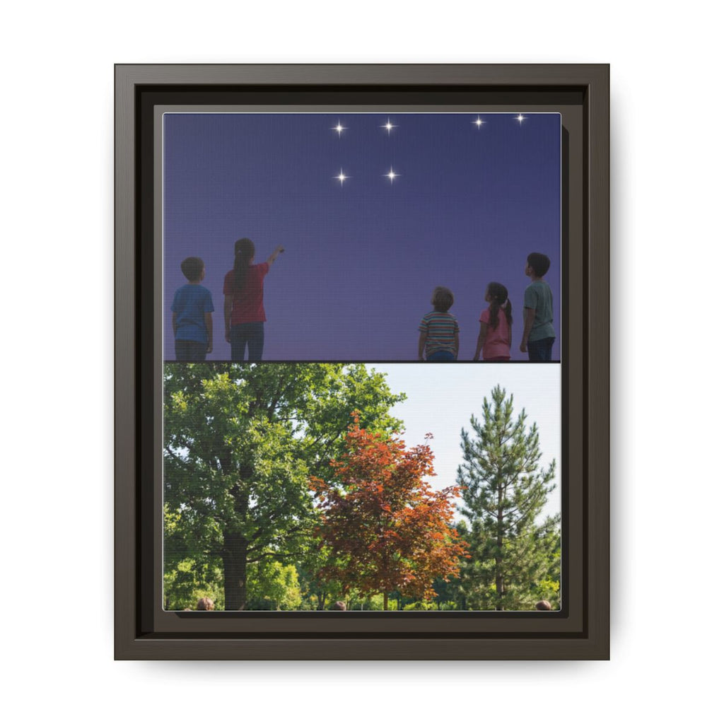 Framed Matte Canvas - Discovery — Espresso / 1.25"