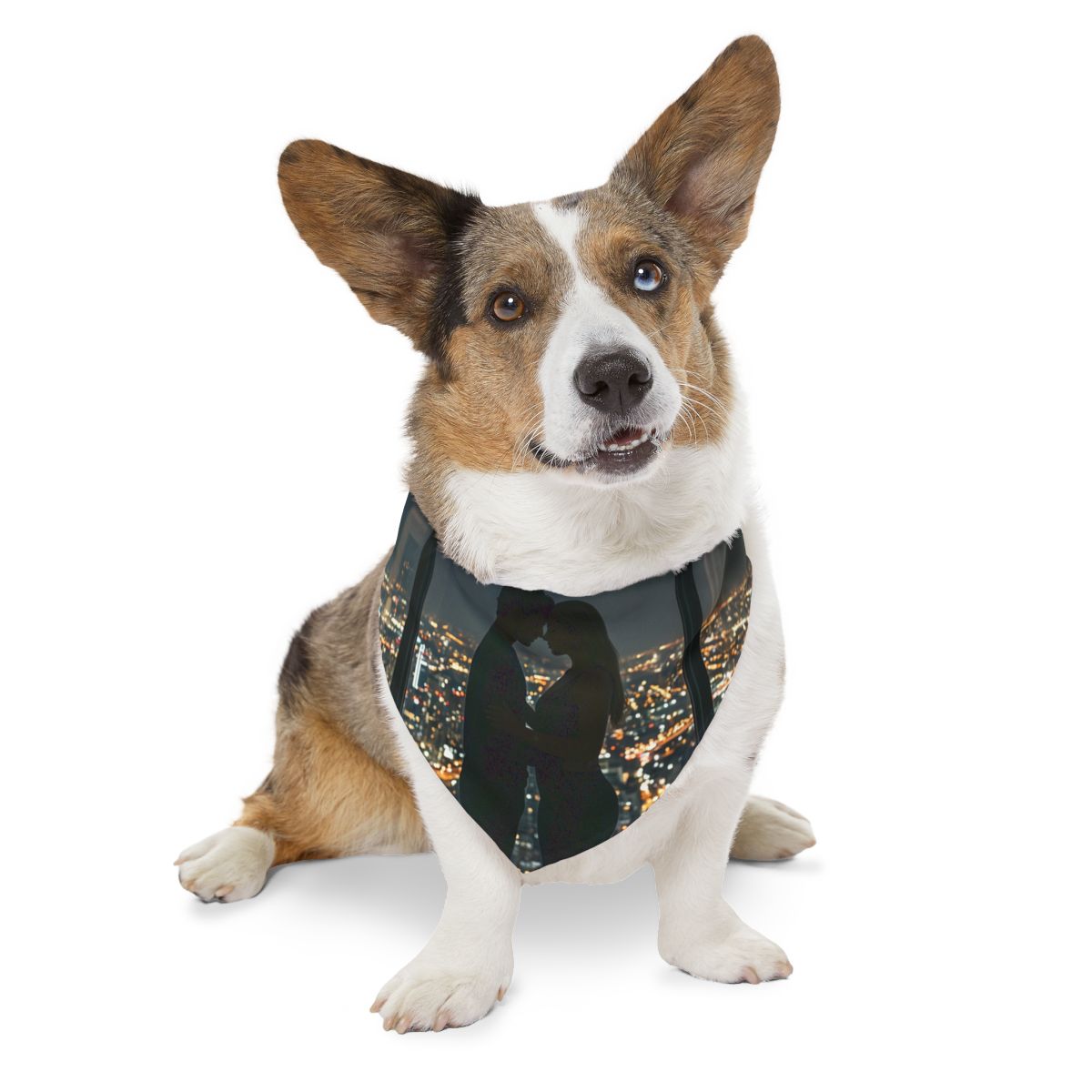 Pet Bandana Collar - City Lights Embrace Skyline Wall Art |...