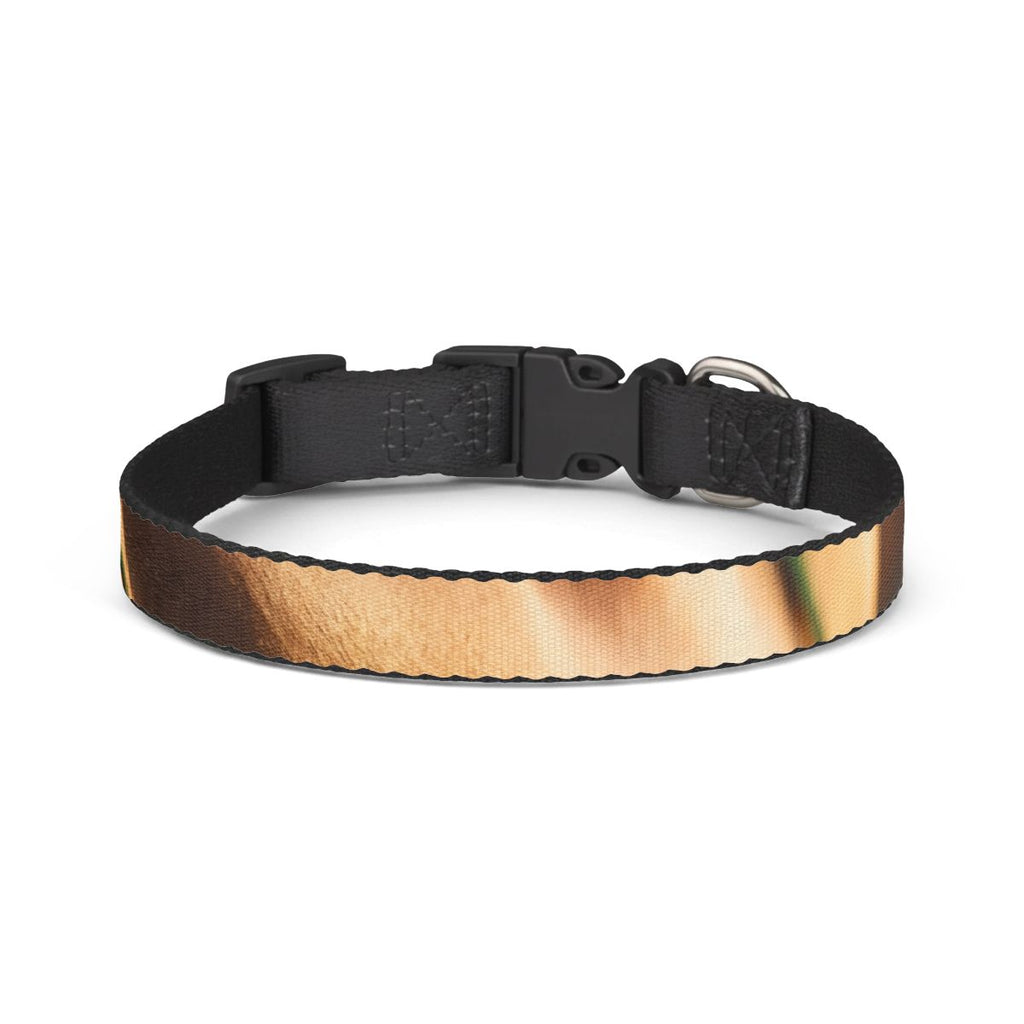 Golden Hour Pet Collar - Elegant Emerald Sunset | Echovira...