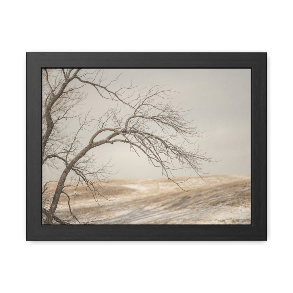 Framed Poster - Minimalist Winter Tree — Landscape