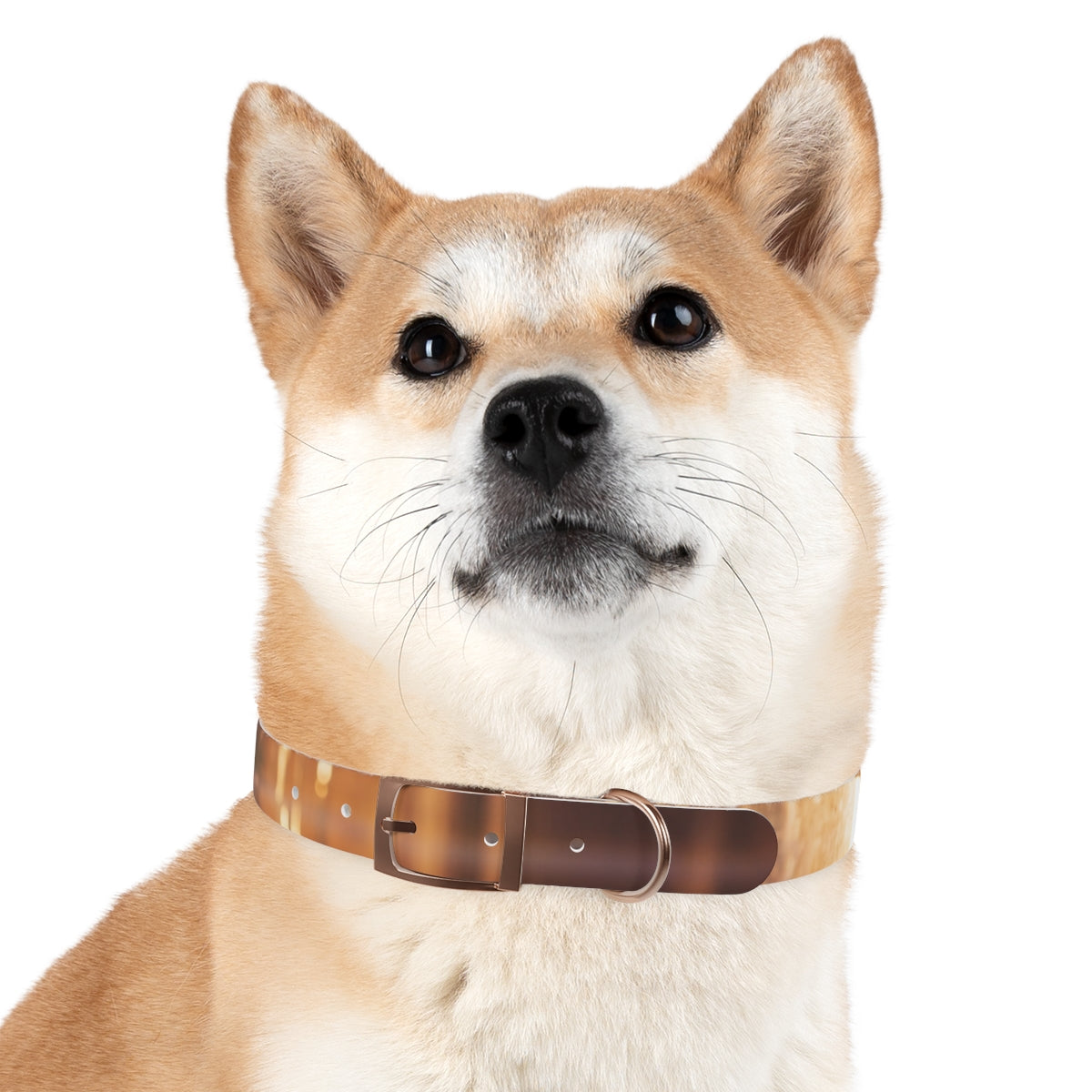 Dog Collar - Shattered Light Aesthetic