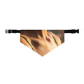 Golden Hour Pet Collar - Sunkissed Collar Scarf | Echovira...