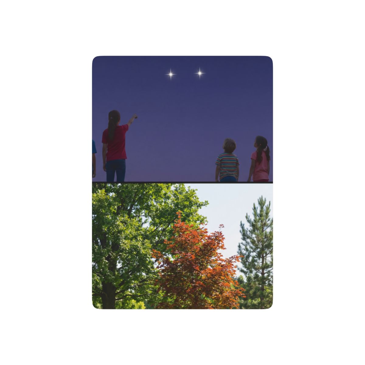 Poker Playing Cards - Stardust & Forest Discovery | Echovira...