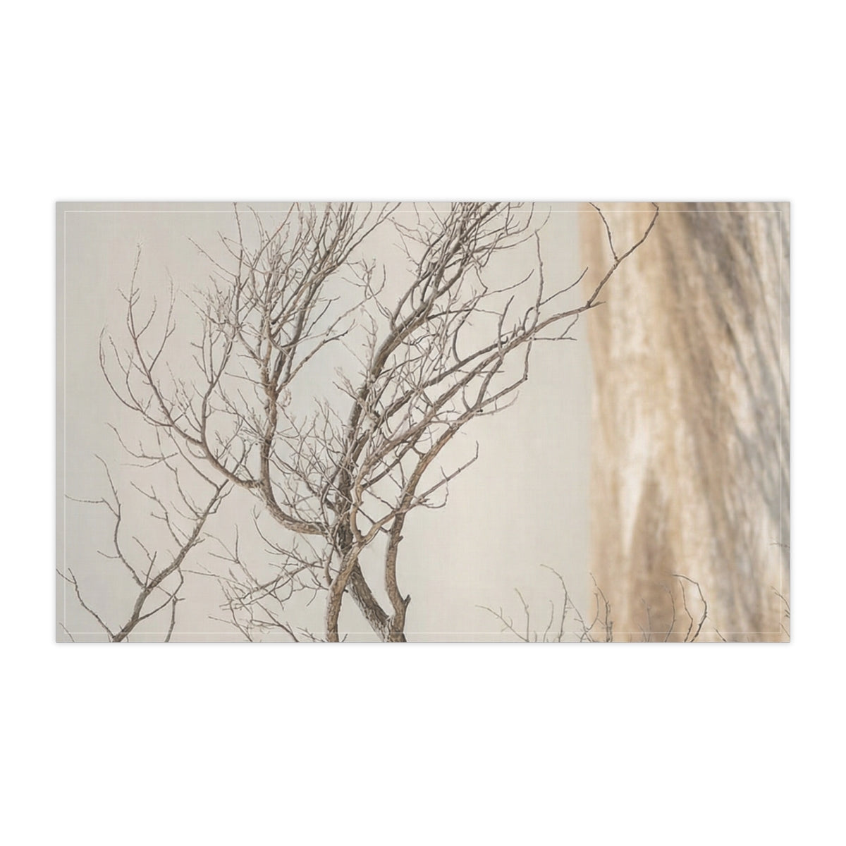 Tea Towels - Winter Branch Solitude Landscape | Echovira...