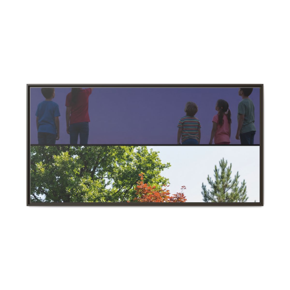 Framed Matte Canvas - Wilderness Gallery — Espresso / 1.25"