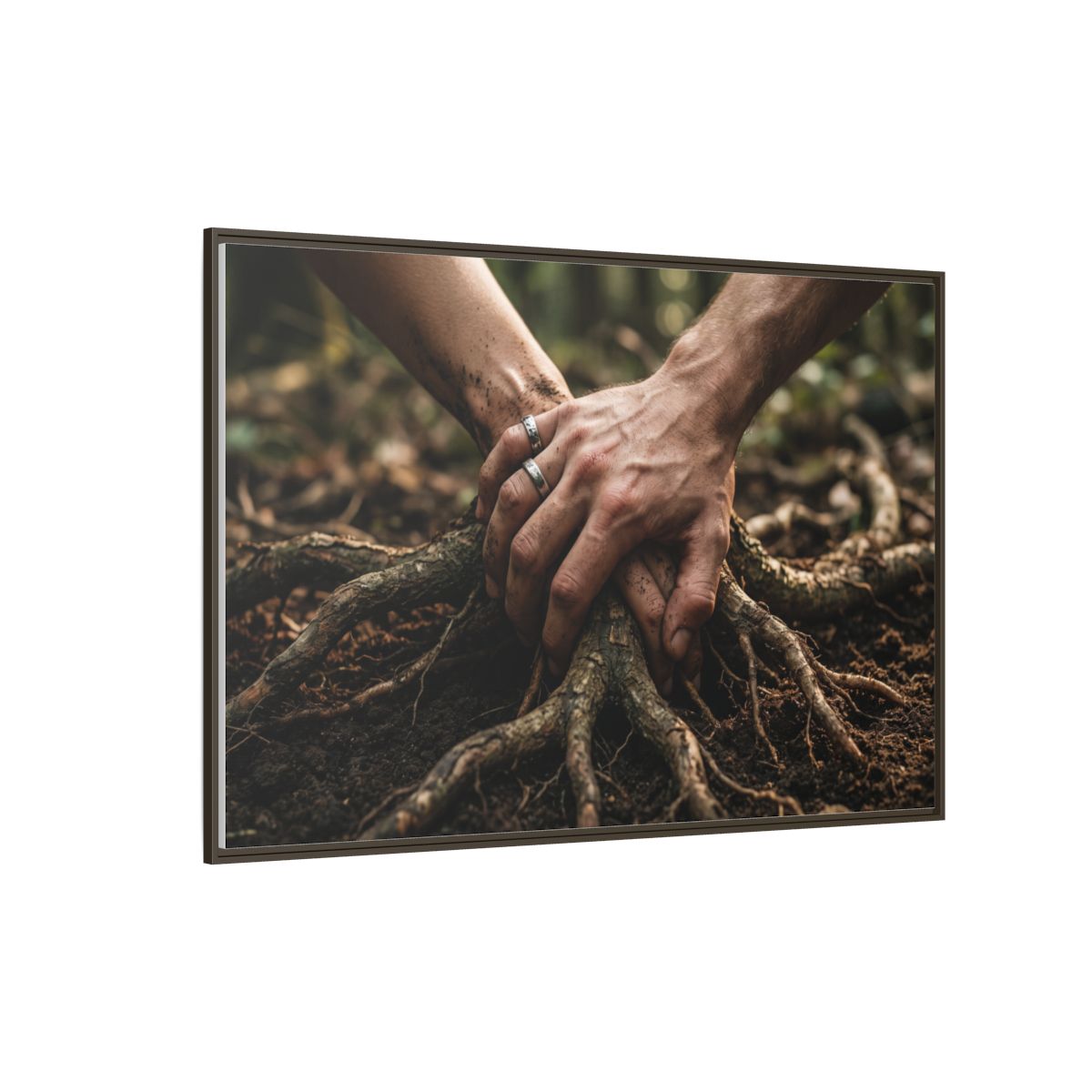 Framed Forest Root Canvas Landscape Art