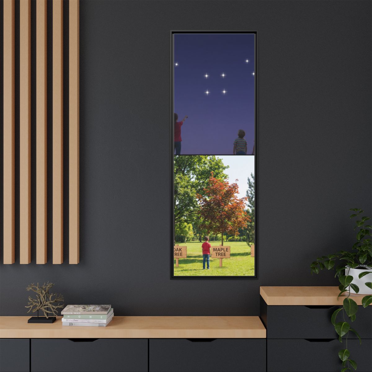 Framed Matte Canvas - Discovery — Black / 1.25"