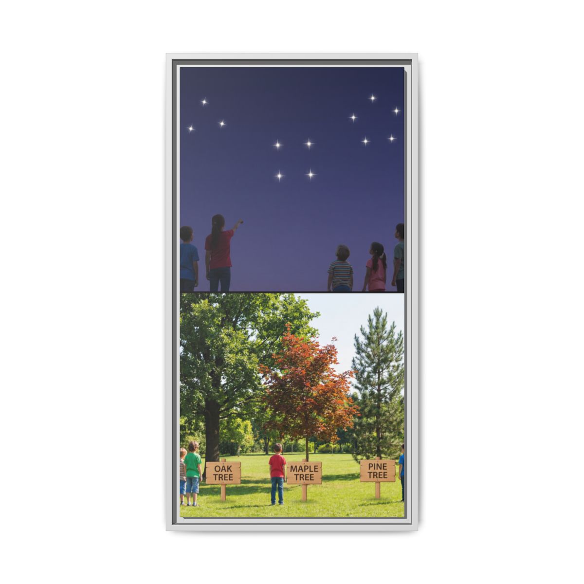 Framed Matte Canvas - Discovery — White / 1.25"