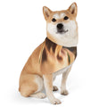 Pet Bandana Collar - Golden Hour Walk