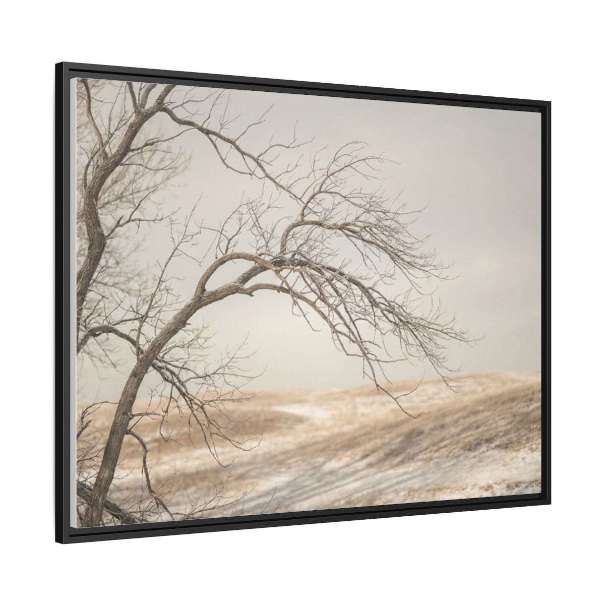 Framed Canvas Art - Minimalist Winter — Black / 1.25"