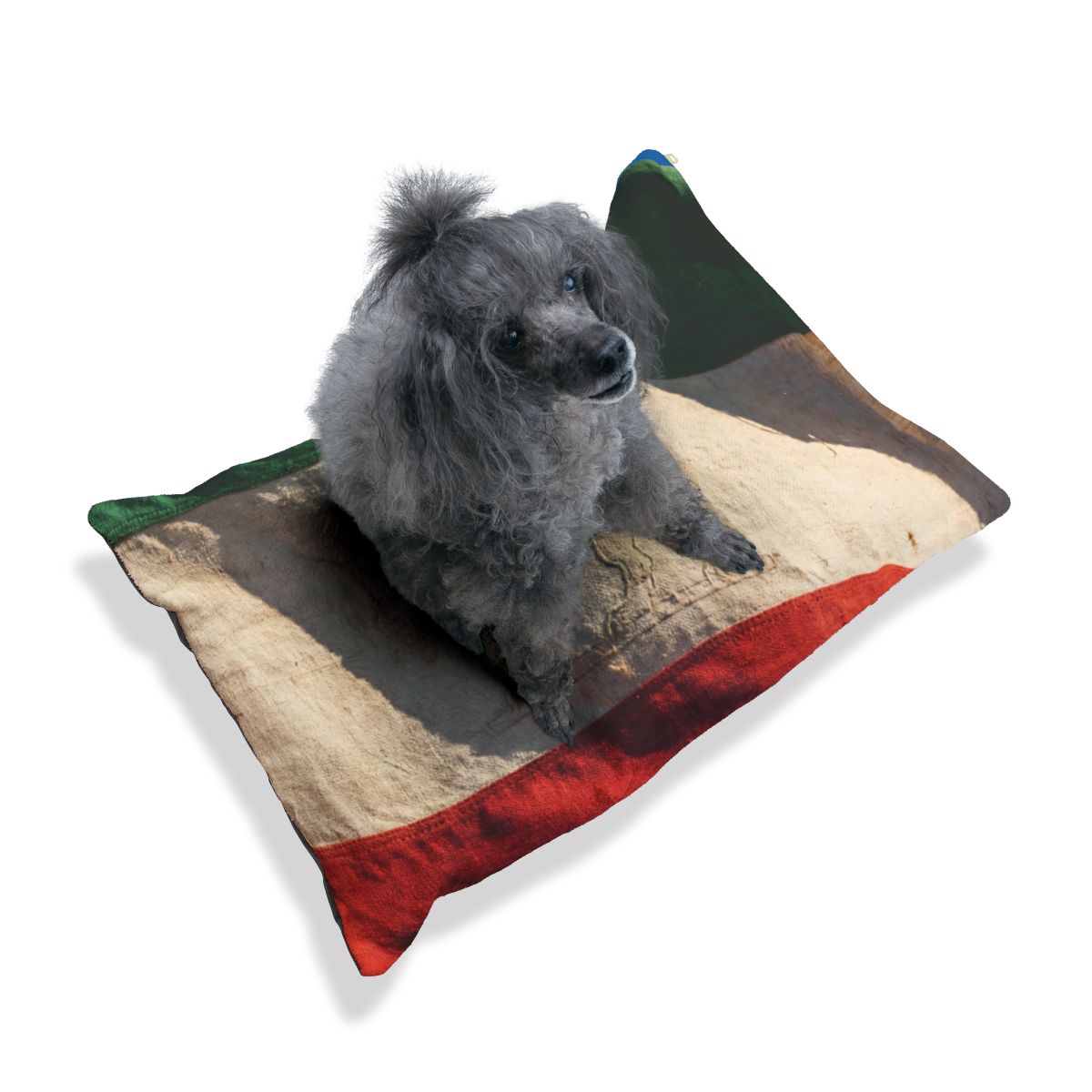 Pet Bed - Vintage Persian Flag