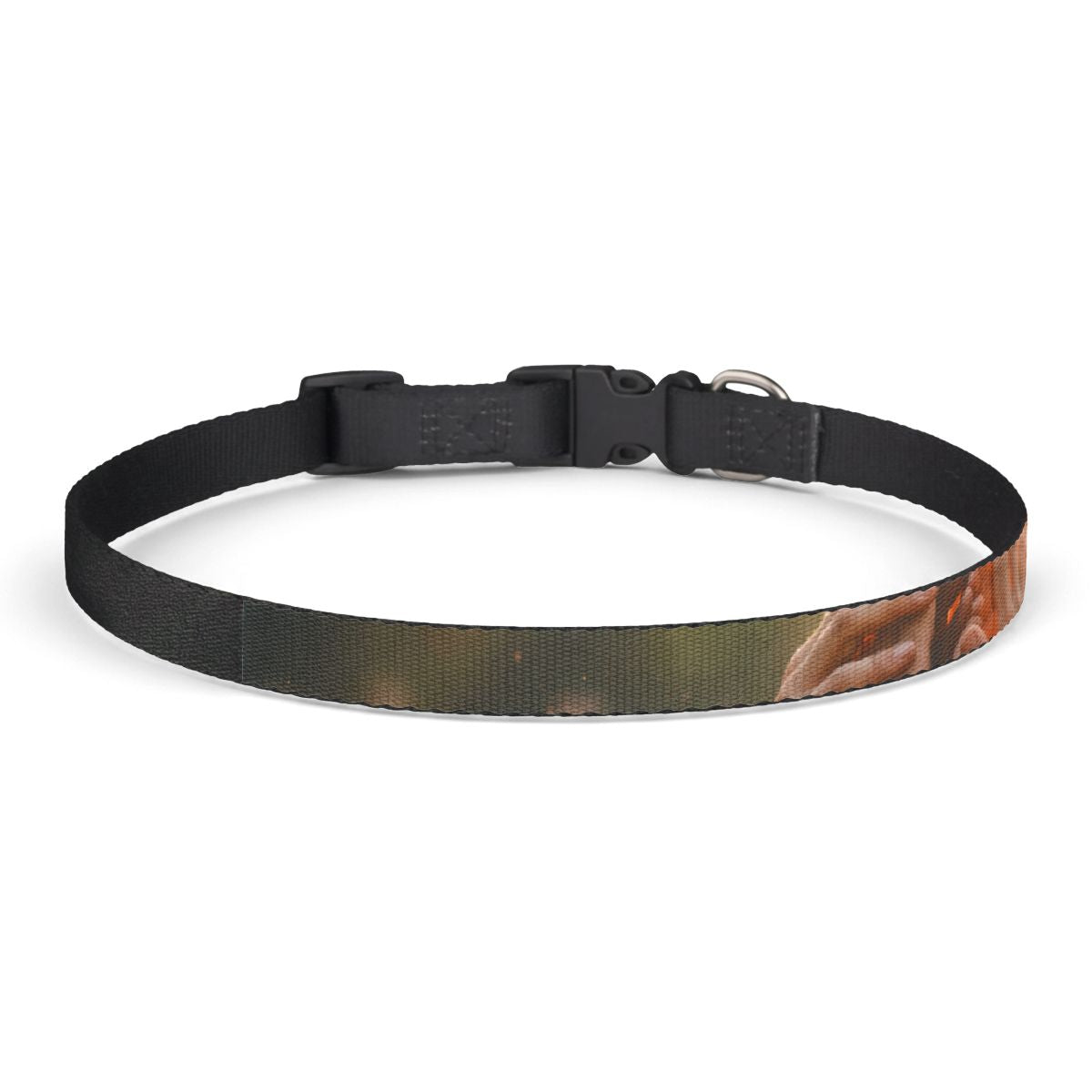 Clip-on Pet Collar - Golden Rays of Unity Wall Art |...
