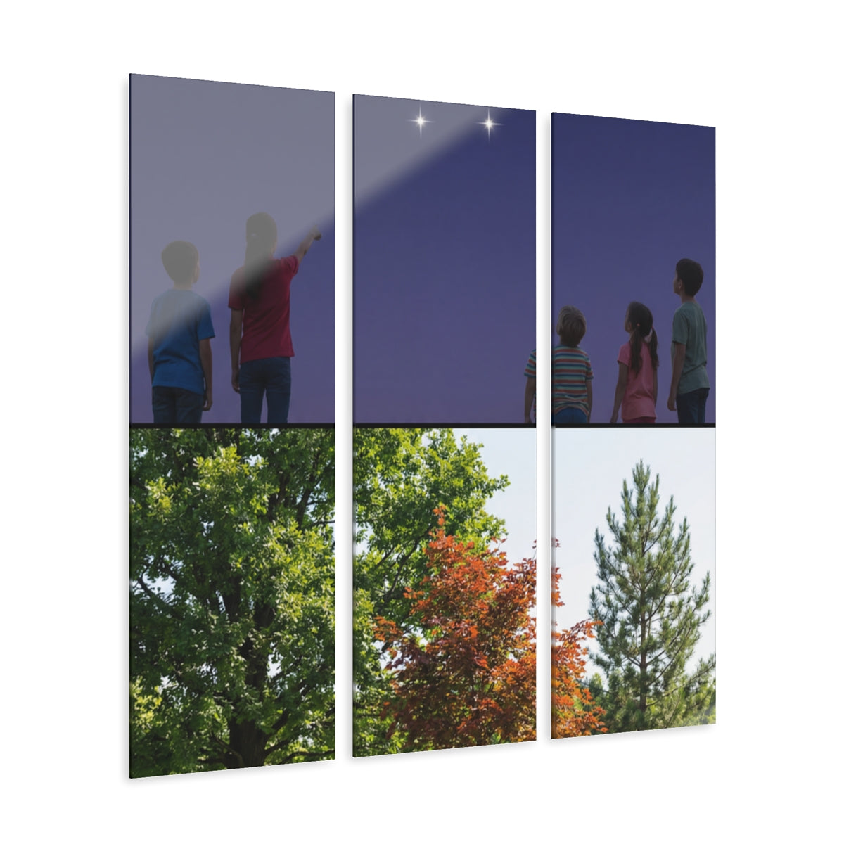 Acrylic Triptych Print - Nature Class — Portrait