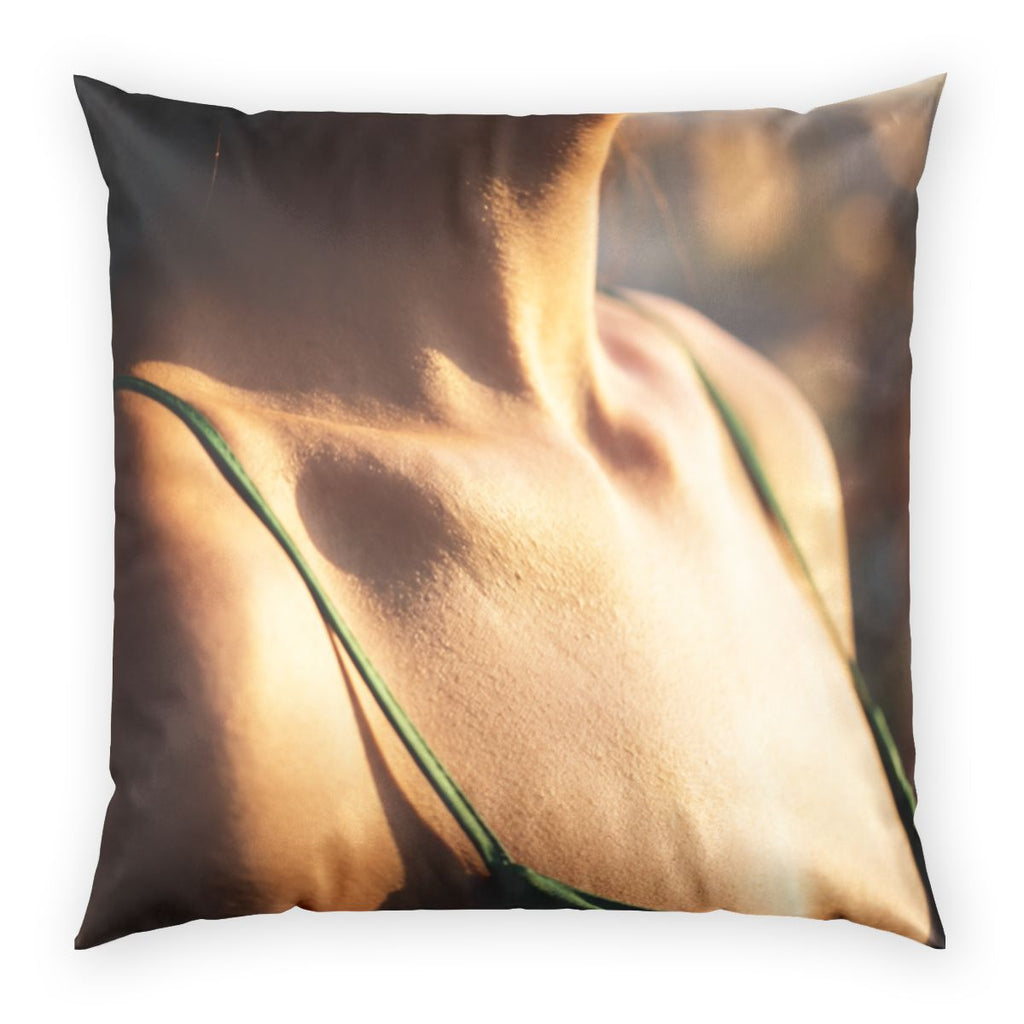 Poly Velvet Pillow - Emerald Sunset Touch