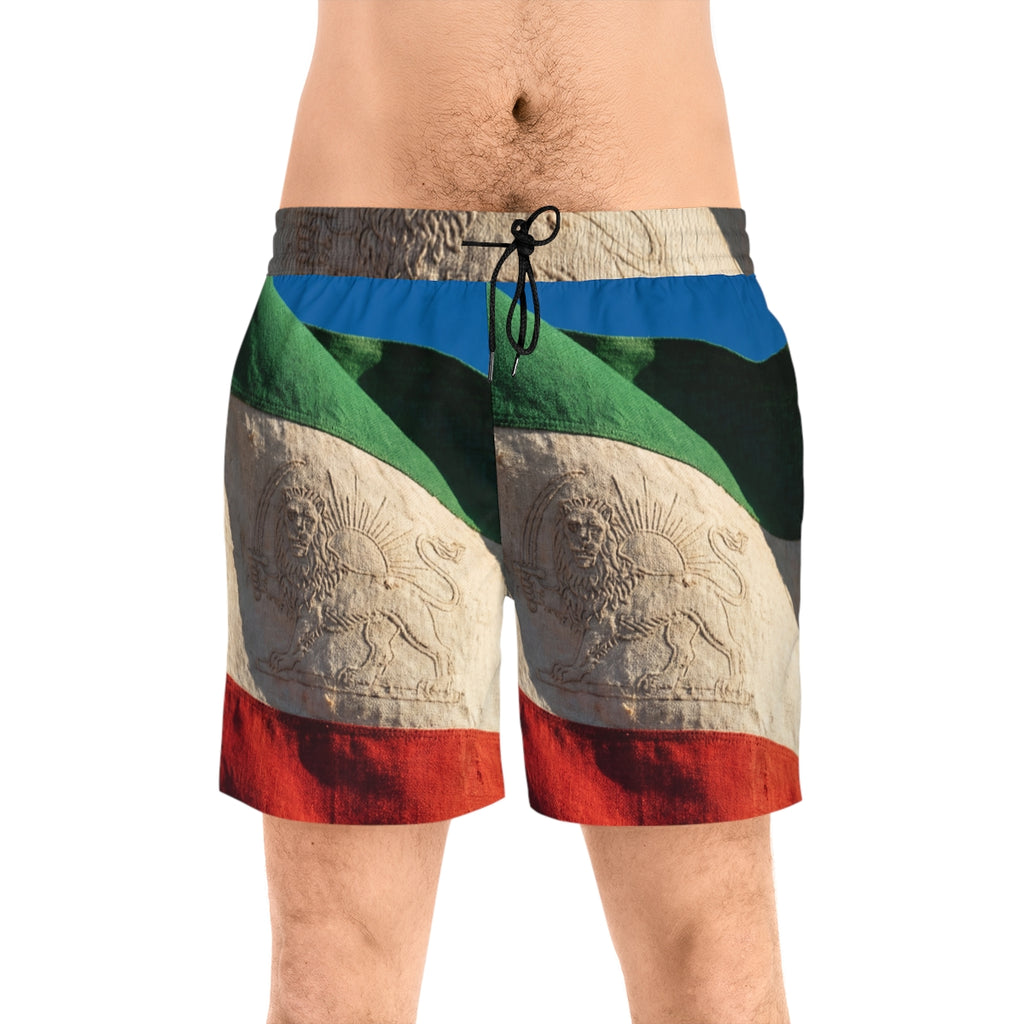 Men's Swim Shorts - Pride