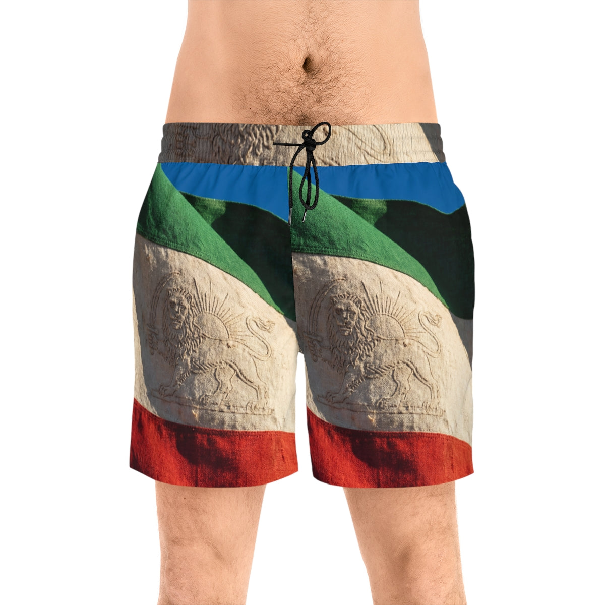Men's Swim Shorts - Pride