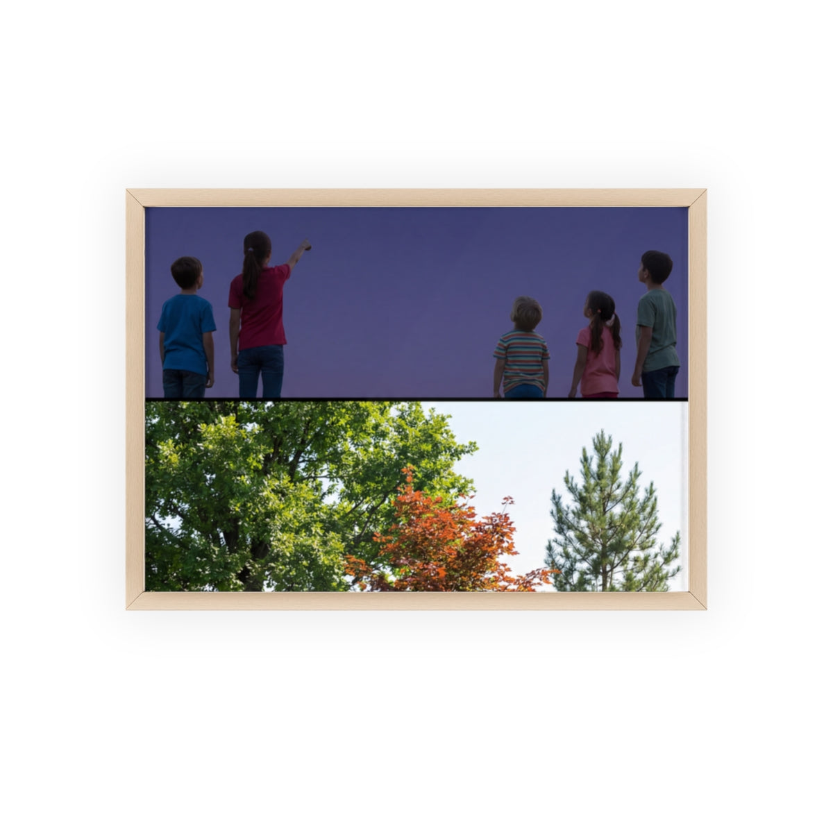 Posters with Wooden Frame - Woodland Explorer