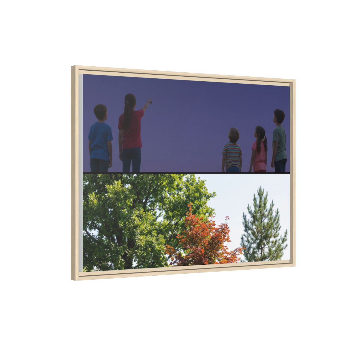 Framed Matte Canvas - Wilderness Gallery