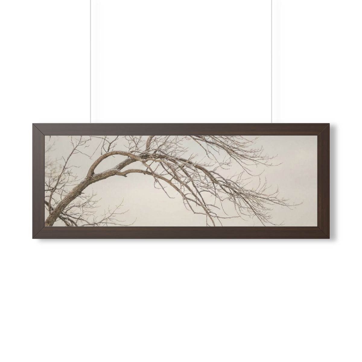 Framed Horizontal Poster - Winter Branch Solitude Landscape...