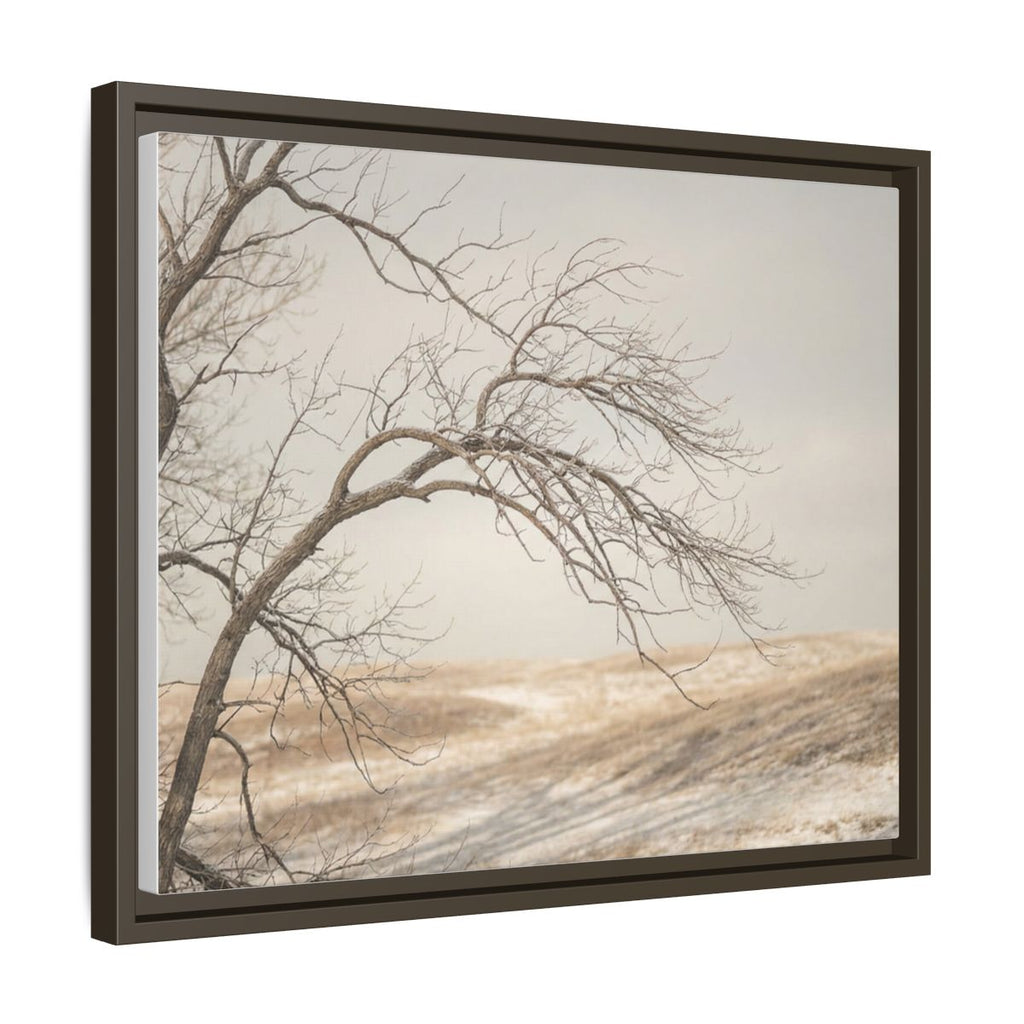 Framed Canvas Art - Minimalist Winter — Espresso / 1.25"