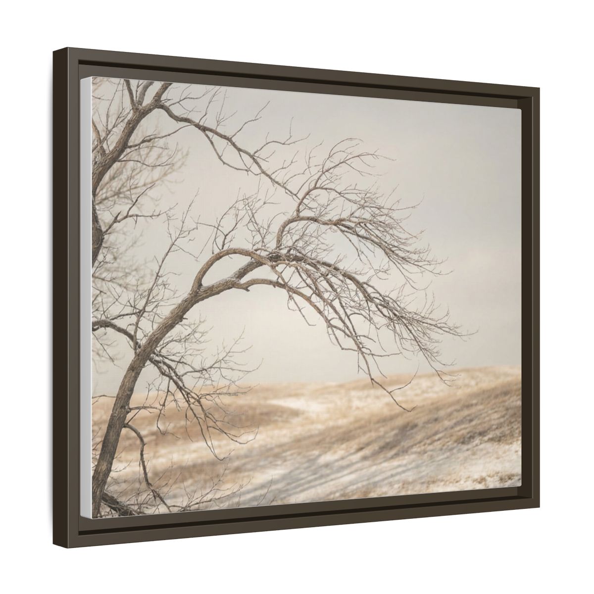 Framed Canvas Art - Minimalist Winter — Espresso / 1.25"