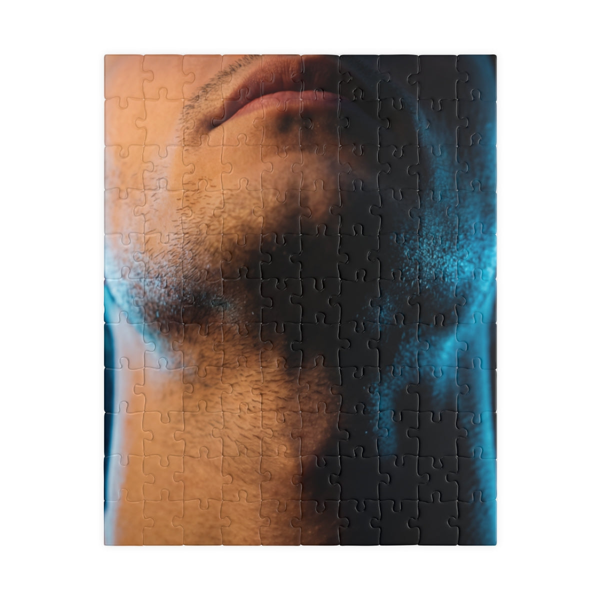 Jigsaw Puzzle - Cinematic Shadows