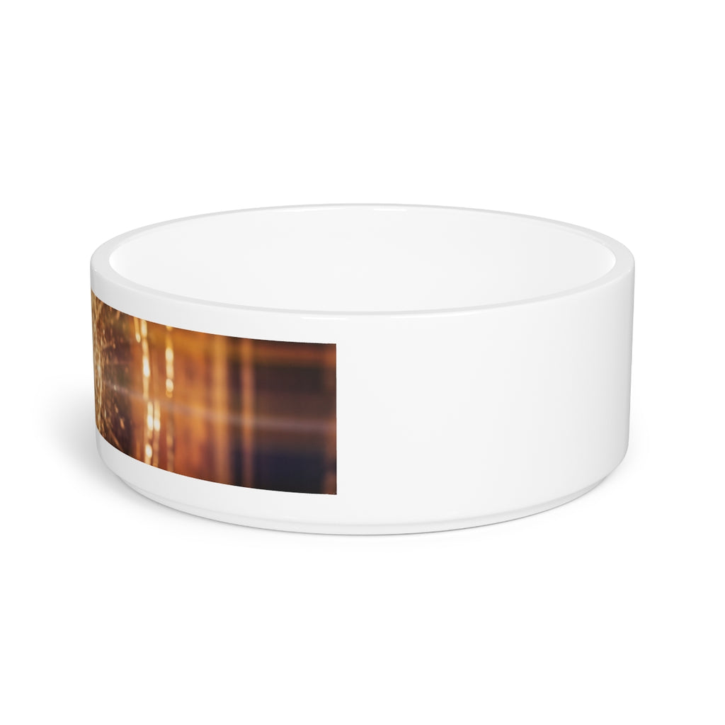 Pet Bowl - Fractured Light Shattered Glass Art | Echovira...