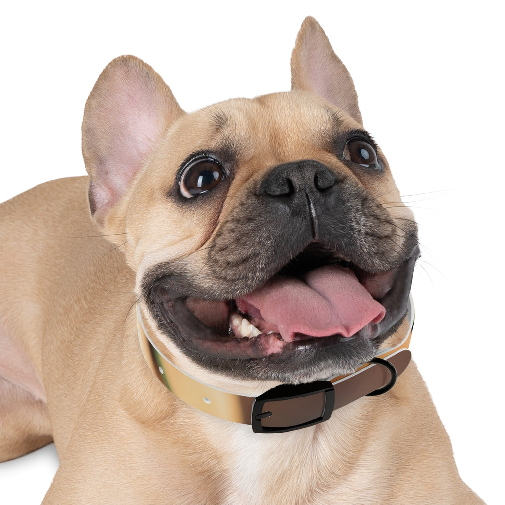 Dog Collar - Golden Hour Glow