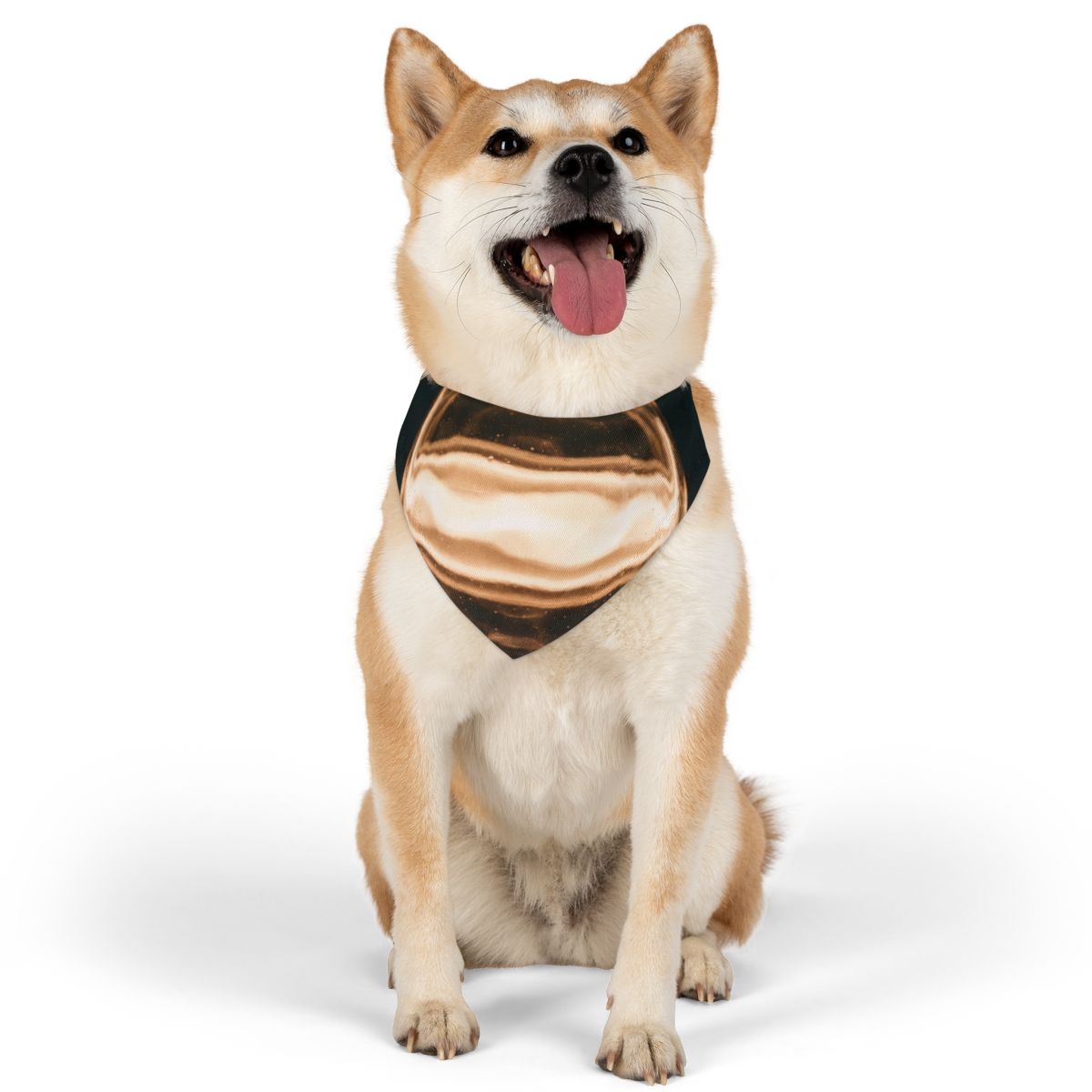 Pet Bandana Collar - Luminous Amber Sphere - Radiant Glow |...