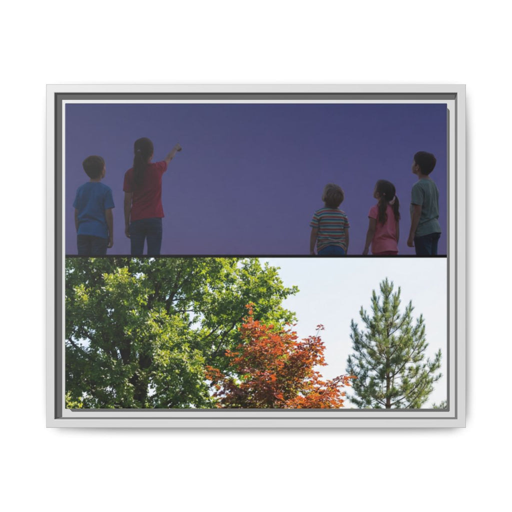 Framed Matte Canvas - Discovery — White / 1.25"