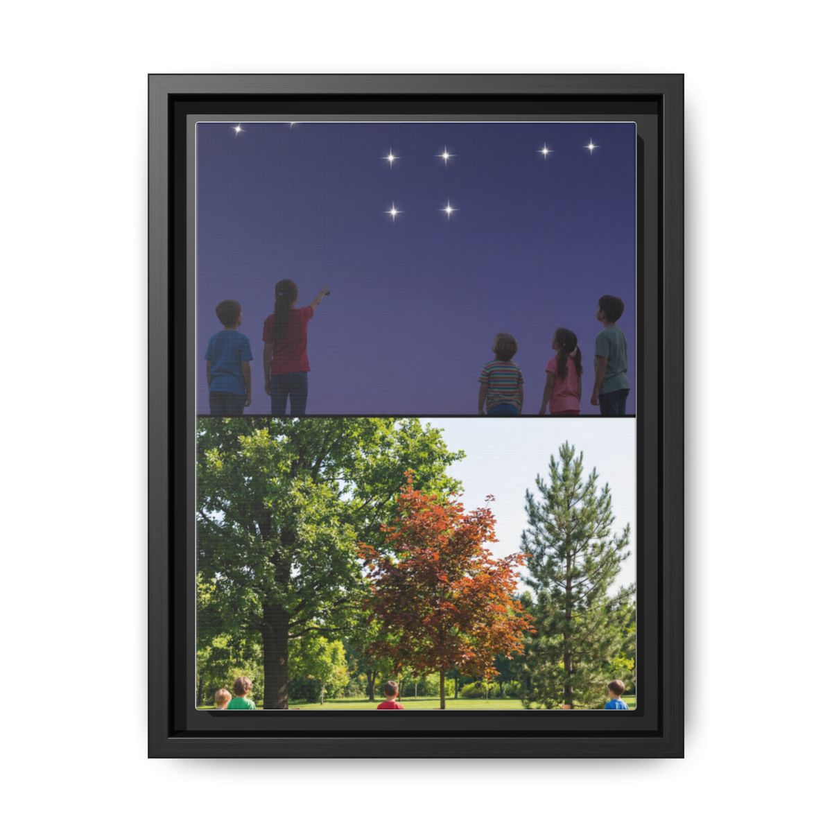 Framed Matte Canvas - Discovery — Black / 1.25"