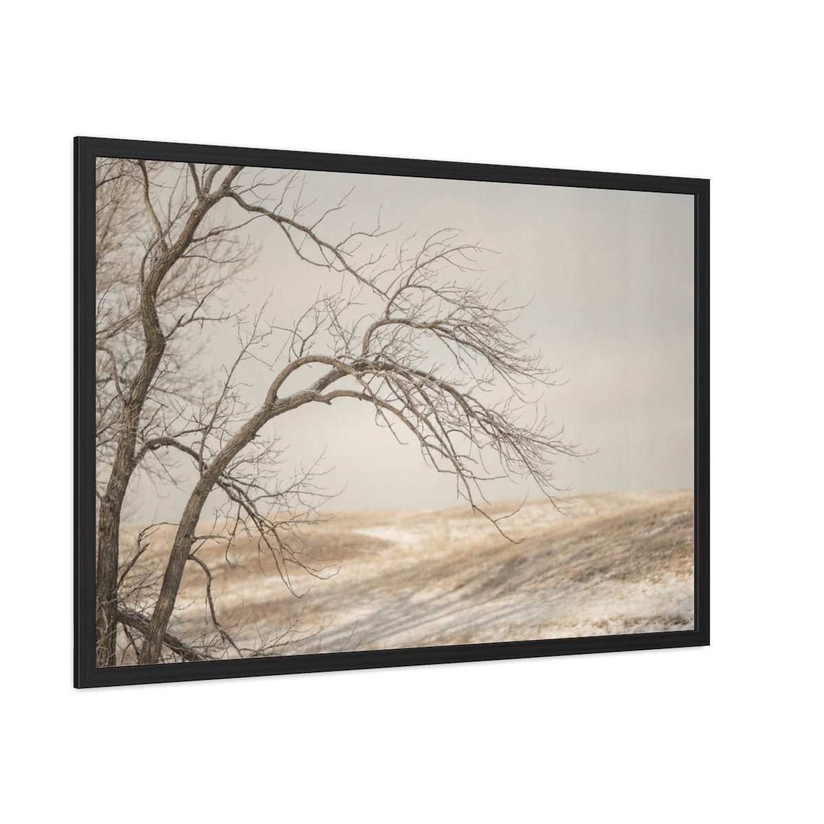Framed Poster - Minimalist Winter Tree — Landscape