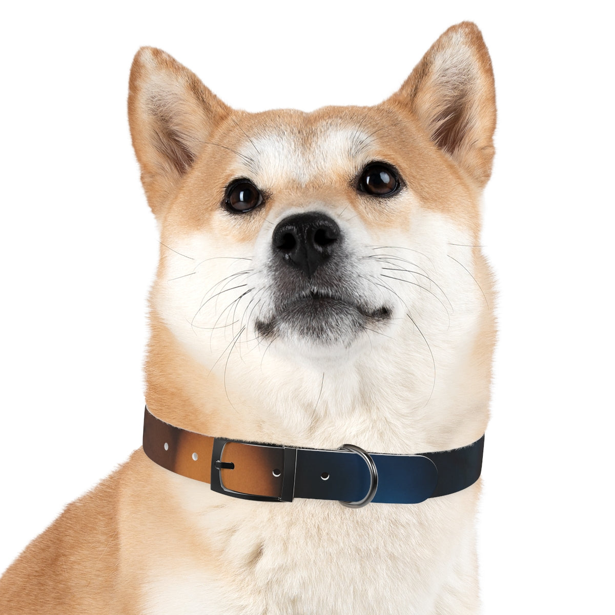Dog Collar - Midnight Spark