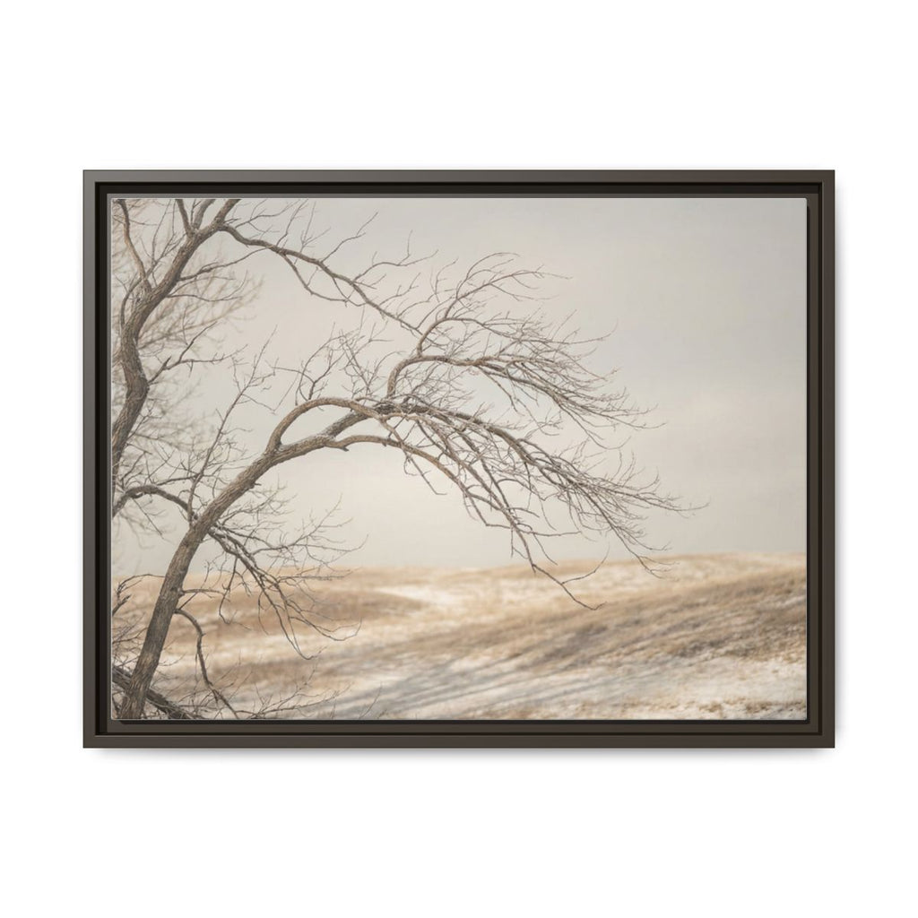Framed Canvas Art - Minimalist Winter — Espresso / 1.25"