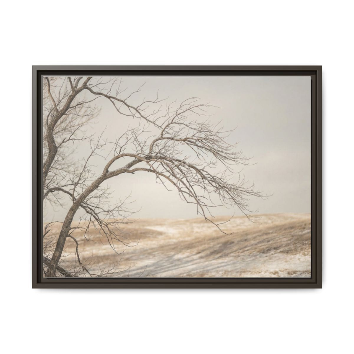 Framed Canvas Art - Minimalist Winter — Espresso / 1.25"