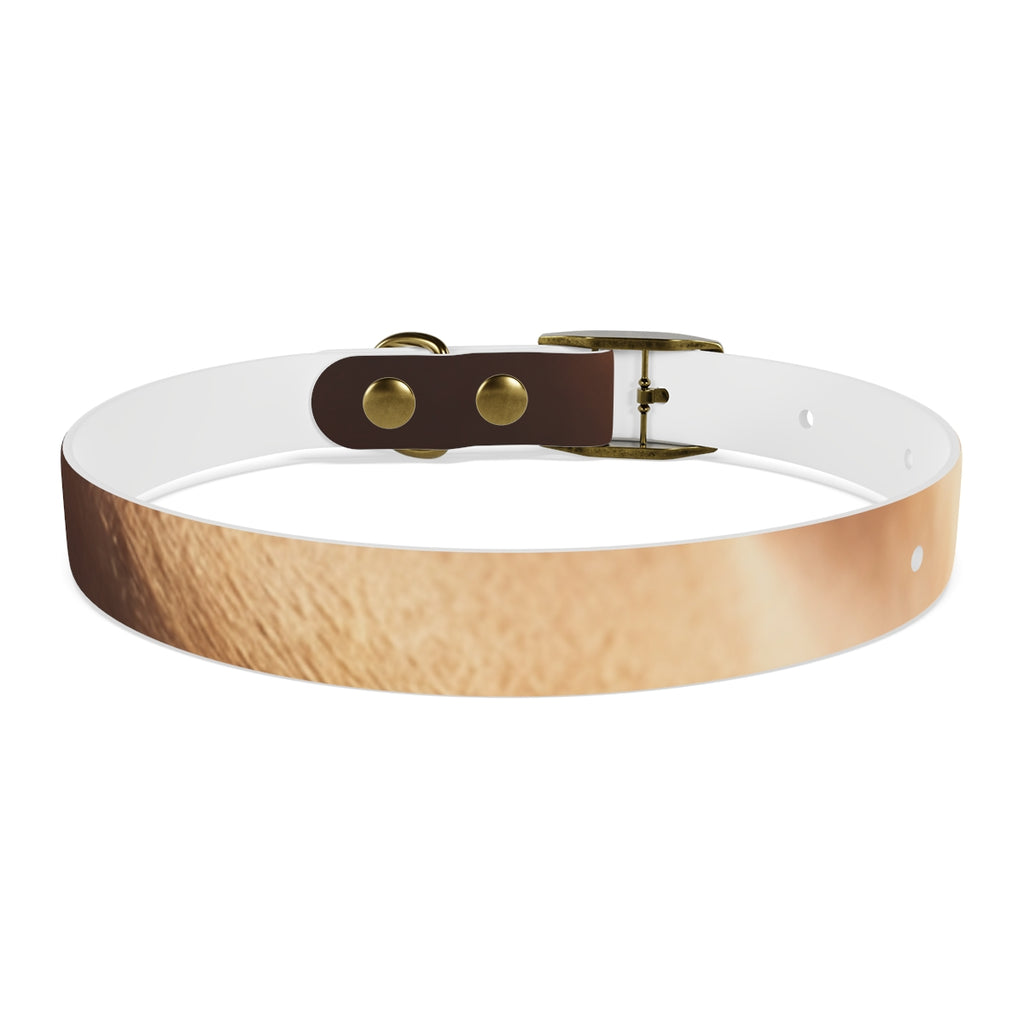 Dog Collar - Golden Hour Glow